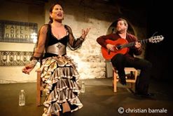 الطيور الحرة فى حفل الفلامنكو بالجمهورية