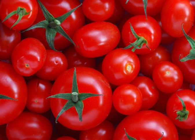 ”أبوستيت” يقرر إلغاء نظام التفويض في اتخاذ قرارات اذون استيراد التقاوي من الخارج