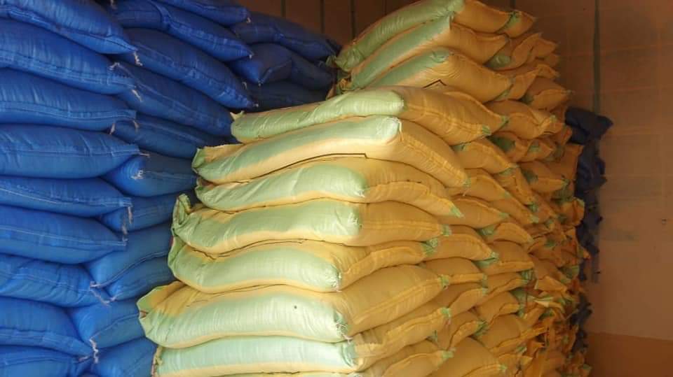 الإدارة المركزية لإنتاج التقاوي تتابع توزيع وبيع التقاوي في محافظة سوهاج