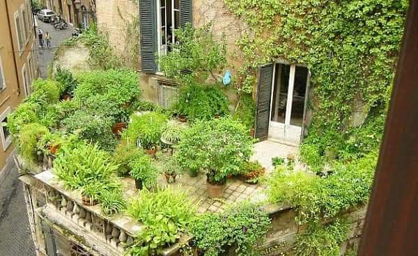 بالصور ...زراعة أسطح المنازل فى ندوة بالفيوم