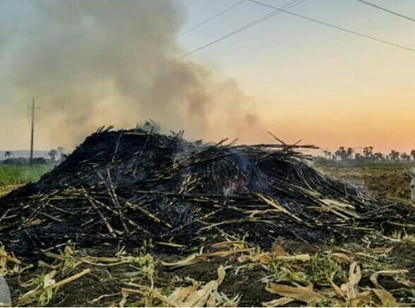 محافظ أسيوط | وصول عدد ٢٠مفرمة للمخلفات الزراعية لتوزيعها على المراكز والأحياء