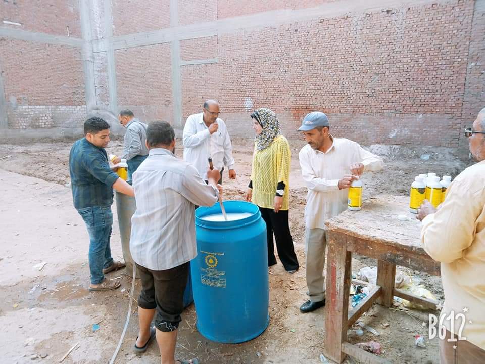 العلاج النقدي للنمل الأبيض قبل البناء في الفيوم