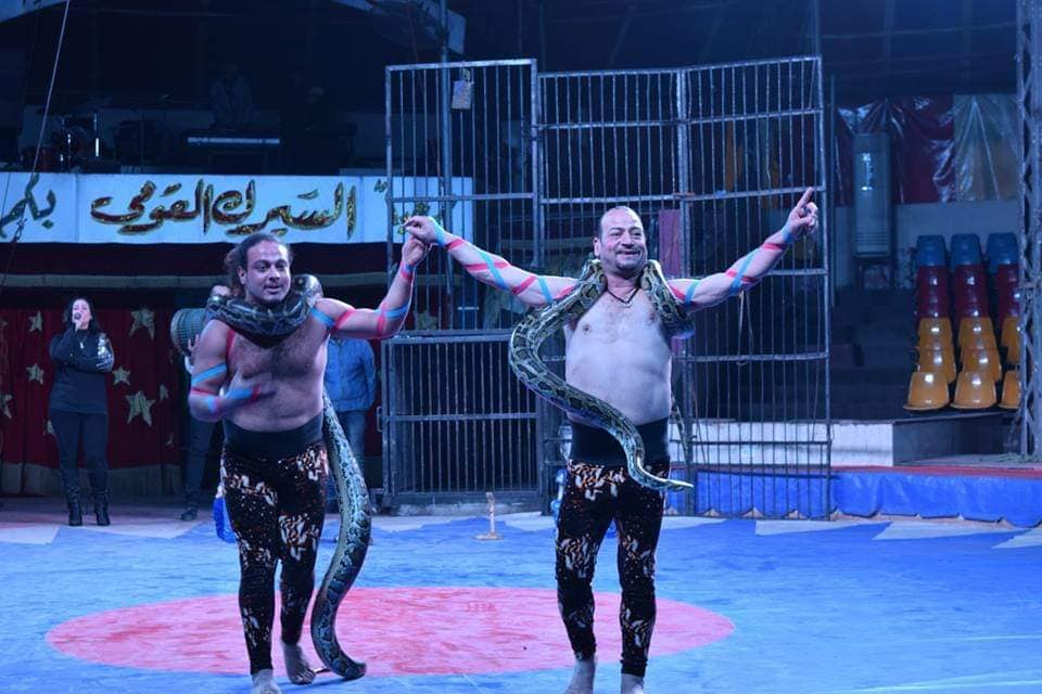 السيرك القومي في استقبال جمهور مسرح محمد عبد الوهاب بالإسكندرية