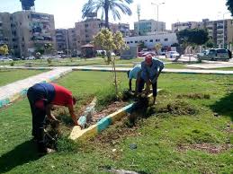 بورسعيد تواصل رفع القمامة والمخلفات وتفريغ الصناديق بأحياء المحافظة