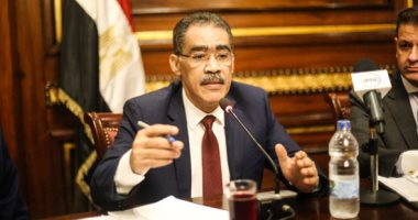 رشوان يؤكد أن جولات الرئيس السيسي الخارجية 33% كانت لأفريقيا