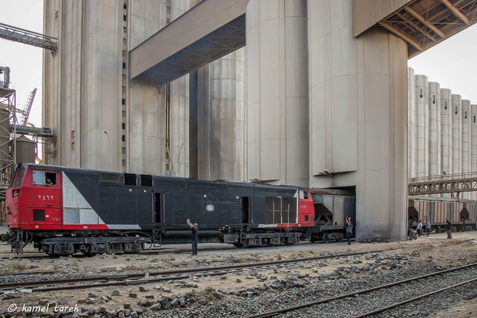 حركة قطارات البضائع العامة بميناء دمياط خلال الـ 24 ساعة الماضية