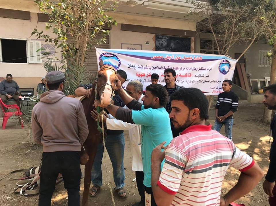 صور : إنطلاق قوافل بيطرية لحزب مستقبل وطن فى قري الشرقية