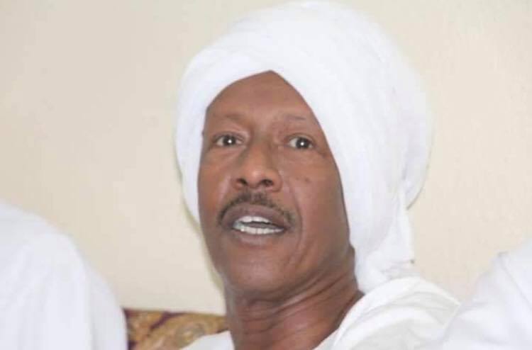 رئيس الجالية النوبية السابق بالسعودية يشكر الرئيس السيسي لإختياره أسوان عاصمة للشباب الأفريقى لعام 2019