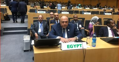 مصر تعلن عن ترحيبها بقرار رفع العقوبات الدولية عن إريتريا