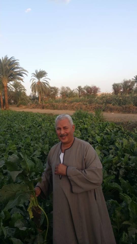 نقيب الفلاحين قطاع الزراعه أكثر القطاعات مساهمة في معدل النشاط الاقتصادي للدولة