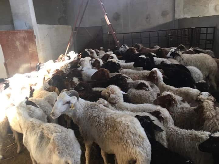 رئيس الإدارة المركزية للمحطات يتابع سير العمل بمحطة بحوث أسيوط