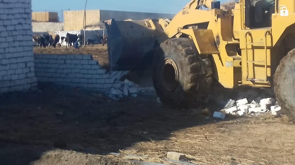 بورسعيد تشهد إزالة ٥١ حالة تعديات علي الاراضي الزراعية