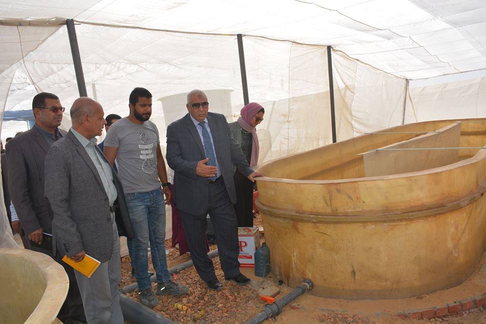 اطلاق 44 الف زرعة سمكية بالوادي الجديد