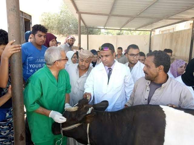 معهد التناسليات الحيوانية ينظم 20 قافلة بيطرية علاجية مجانية في 3 محافظات