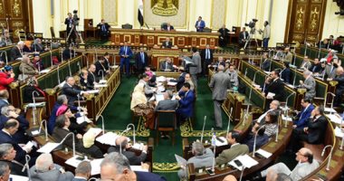 البرلمان المصري يقرر الموافقة على تشكيل المجلس القومى لذوى الإعاقة