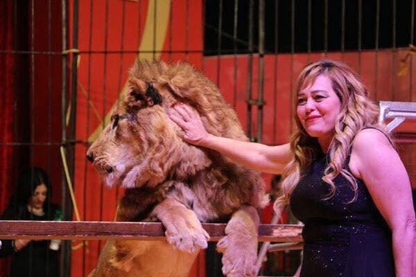 فاتن الحلو تؤكد ان عروضها تعمل في القاهرة والمنيا واعداء النجاح وراء خبر وفاتها