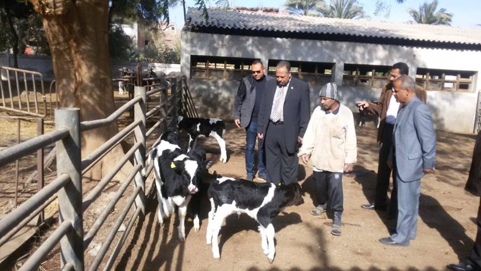 محافظ أسيوط يشدد على متابعة تطوير المشروعات الإنتاجية