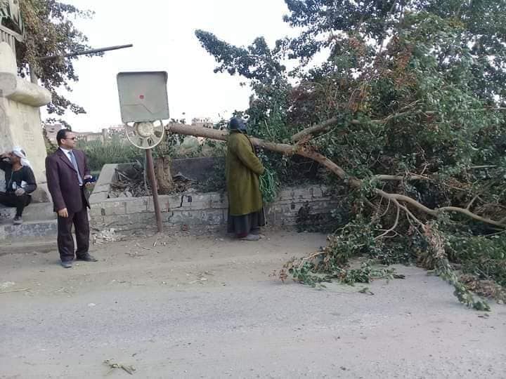 حملة لنظافة وتجميل مدينة الفشن جنوب بني سويف