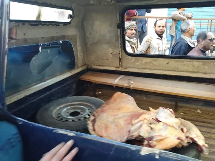حملة مكبرة لضبط اللحوم الفاسدة منذ الصباح الباكر برئاسة مركز ومدينة الزقازيق