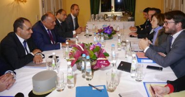 وزير الخارجية يشيد بالعلاقات الاستراتيجية بين القاهرة وواشنطن