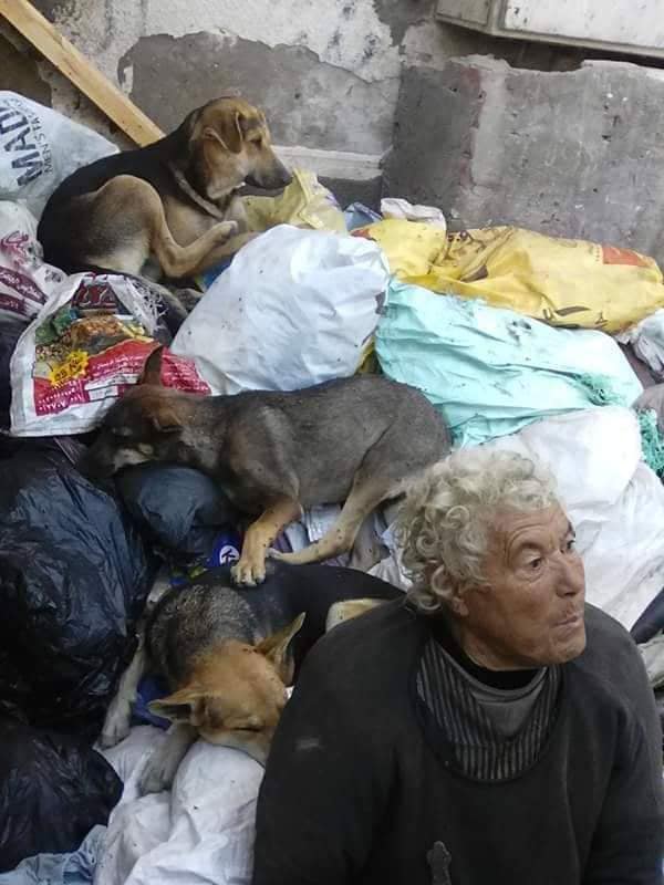 محافظة بورسعيد تواصل فعاليات حملة إيواء المشردين