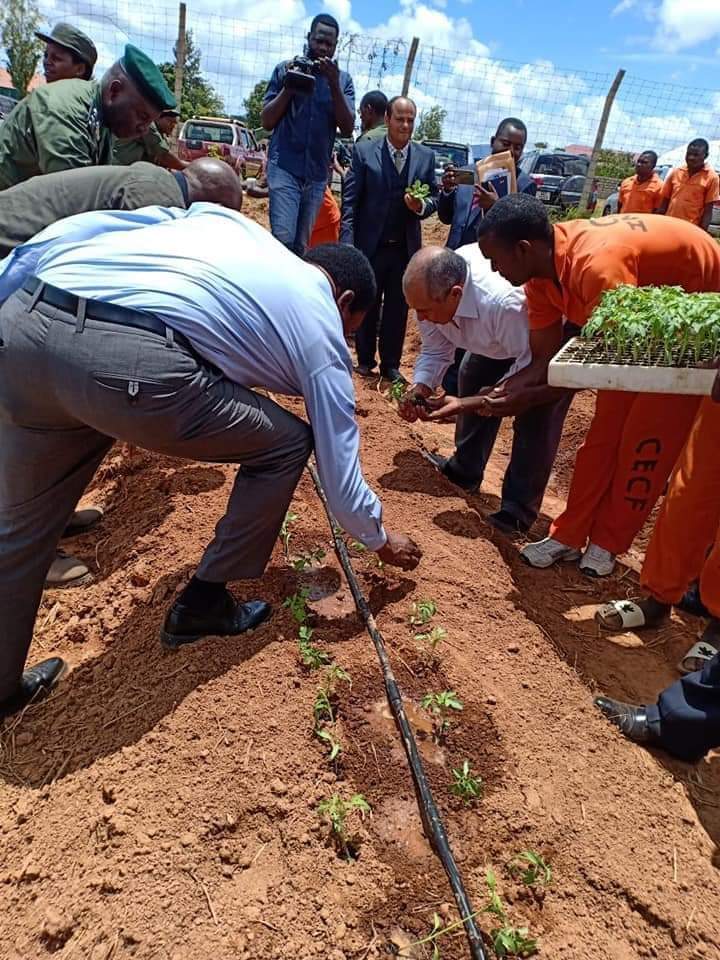 وزير الزراعة يفتتح أول صوبة مصرية لإنتاج الخضر في زامبيا