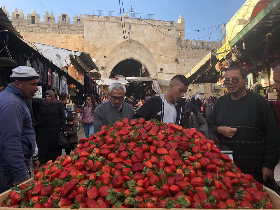 ذهب غزة الأحمر من عتبات باب العامود في القدس العتيقة