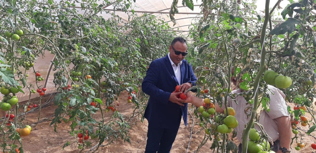 محافظ البحر الأحمر ورئيس أكاديمية البحث العلمي يفتتحان مركز تنمية وتعمير منطقة حلايب وشلاتين