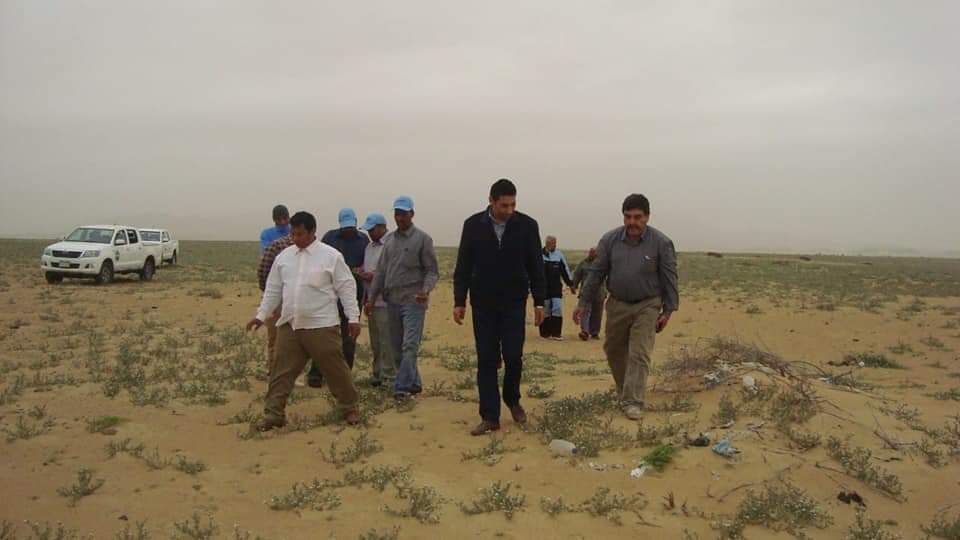 الزراعة تواصل تكثيف عمليات المكافحة للجراد الصحراوي