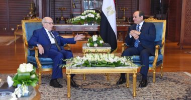 السيسي يرحب بدعوة الرئيس التونسي للمشاركة بالقمة العربية القادمة