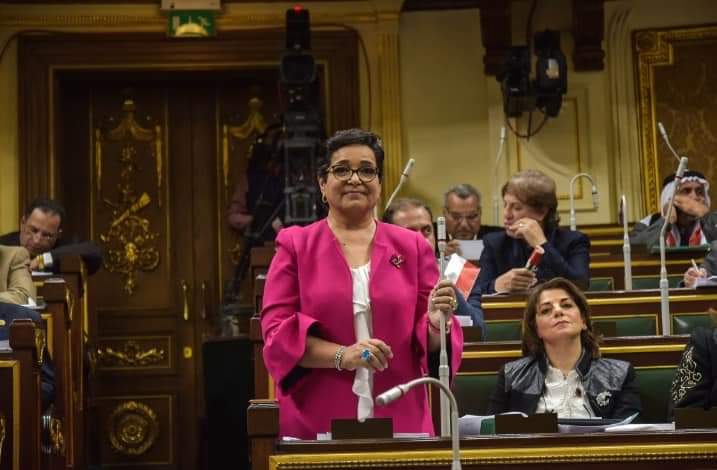 النائبة أنيسة حسونة تطالب التموين بتأجيل خطة استبعاد غير مستحقي الدعم