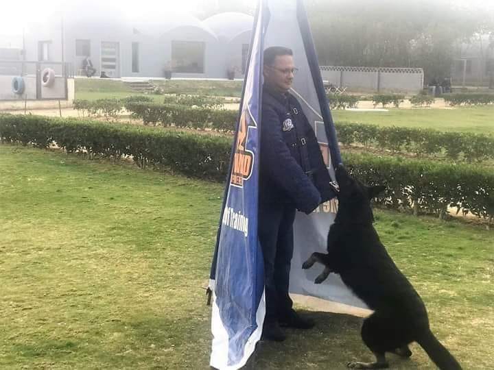 شريف عامر داخل إحدي مزارع تدريب كلاب الحراسة ”الليلة”على”MBC مصر