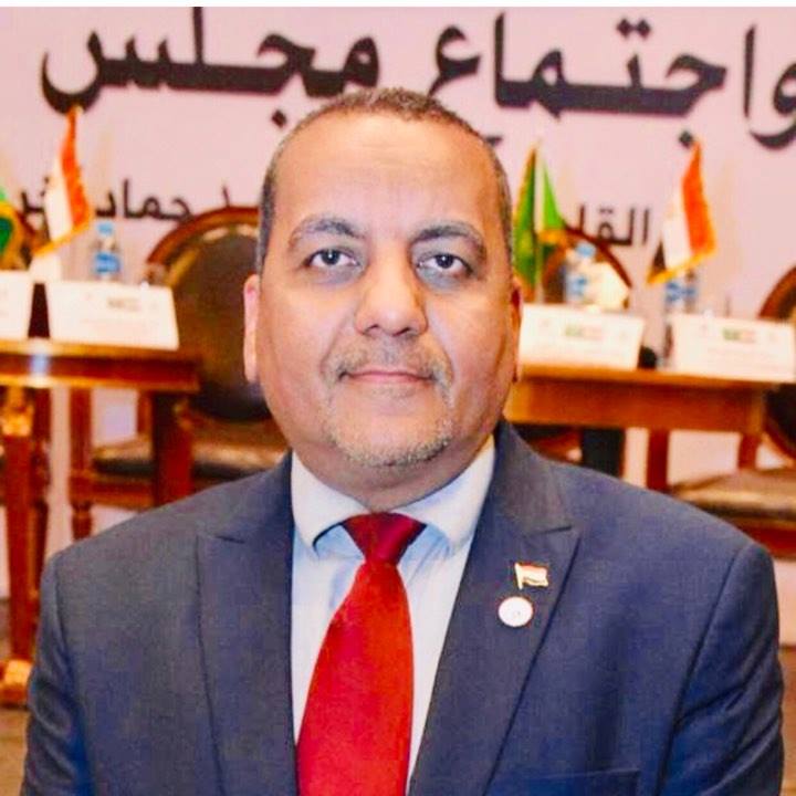 السيسى يعلن عن تدشين المجلس الاعلى للكمييائيين