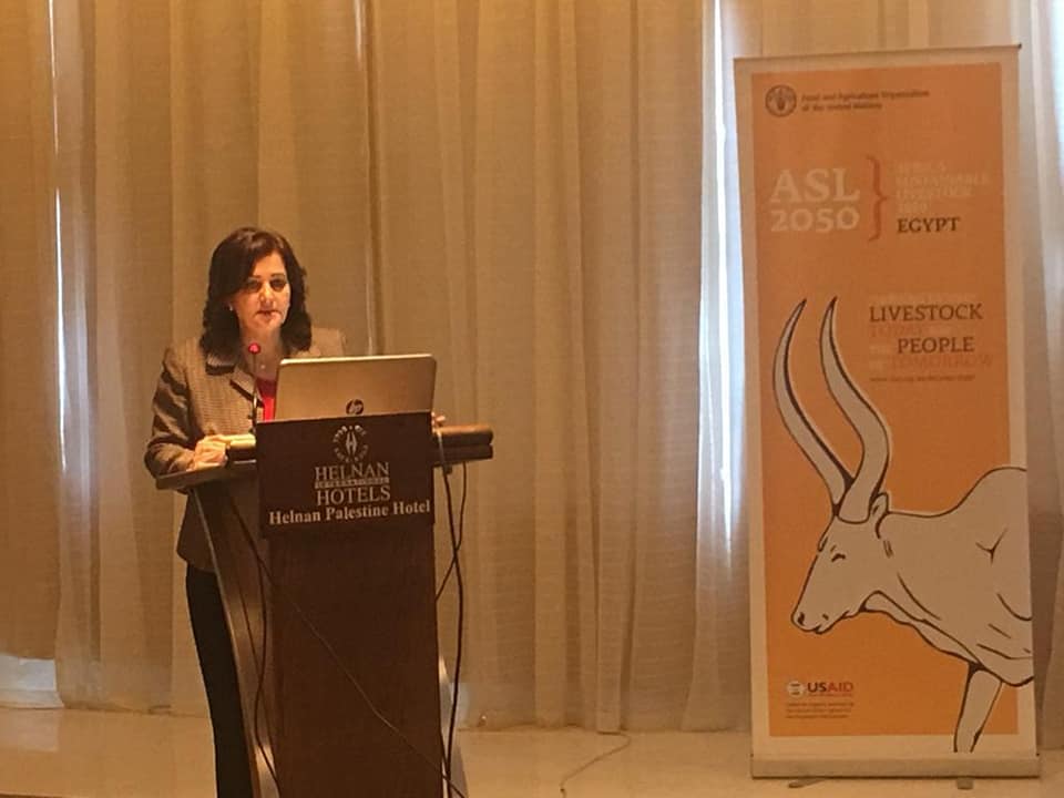 نائب وزير الزراعة تفتتح ورشة عمل التنمية المستدامة للثروة الحيوانية بأفريقيا 2050م