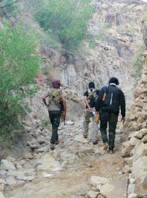صعدة :الجيش الوطني يصل قرية آل جراد التابعة لمديرية باقم ويحرر عددا من المواقع