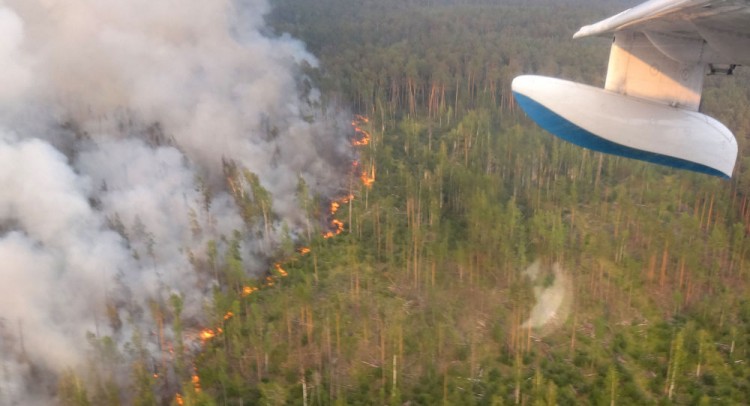 تقلص مساحة الحرائق في مناطق سيبيريا الروسية لأول مرة منذ أسابيع
