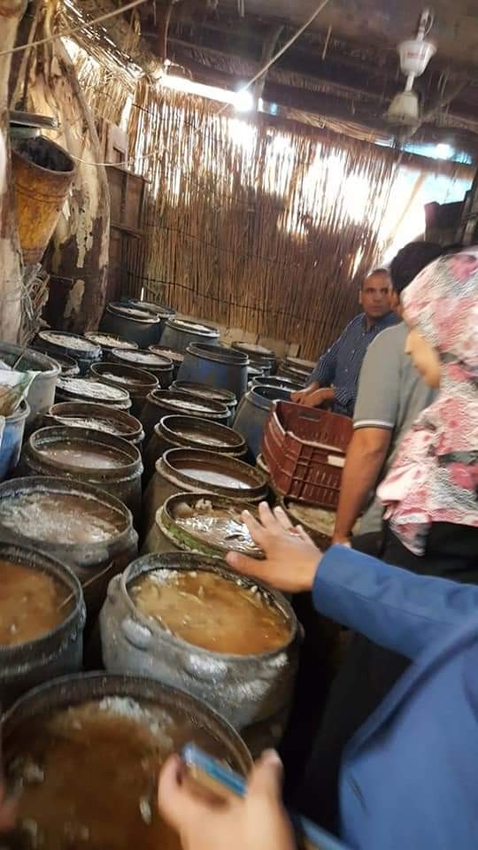 طب بيطري كفر الشيخ يضبط 12 طن اسماك مملحة فاسدة بمطوبس