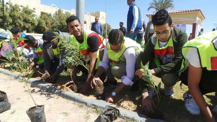 انطلاق المرحلة الاولي من مبادرة لزراعة 3 الاف شجرة بمدينة اسوان الجديدة