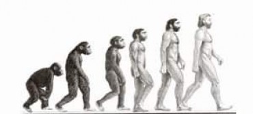القرده ونظرية التطور