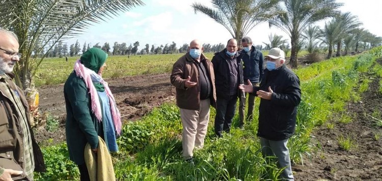 "الزراعة" تستعرض تقريرا حول أنشطة معهد بحوث أمراض النباتات خلال فبراير الماضي