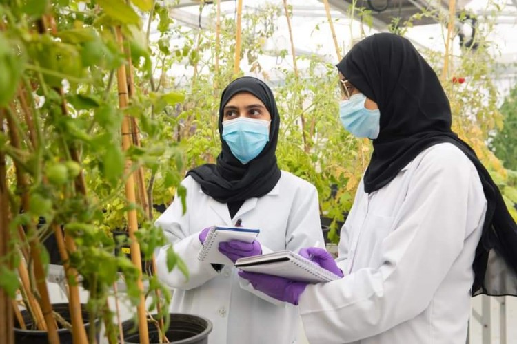 جامعة الإمارات: الاستفادة من الأنظمة الجينية للنباتات كمسار لتطوير الزراعة في الإمارات