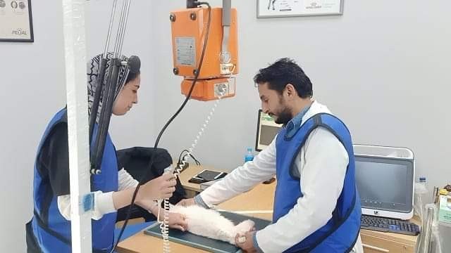 الطب البيطرى بجامعة بدر تعلن عن 27 منحة للطلاب فى ألمانيا.. بالشروط