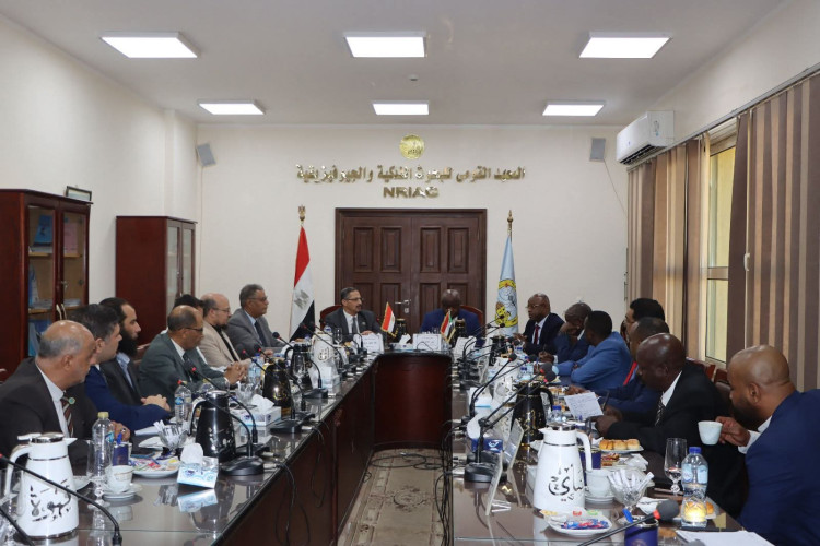 التعليم العالي : حصاد المعهد القومي للبحوث الفلكية والجيوفيزيقية خلال عام 2025م