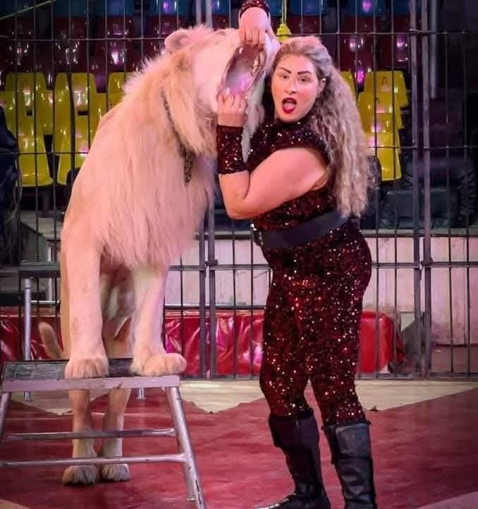 السيرك القومي يواصل تقديم برنامجه يوميا بالعحوزة