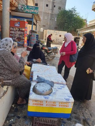 حملة " طرق الابواب " ينظمها فرع المجلس القومى للمرأة بمدن ومراكز وقرى كفر الشيخ