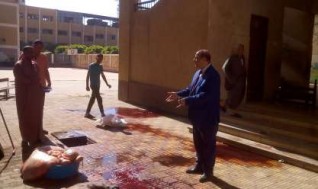 محافظ القليوبية يحيل واقعة ذبح أضحية داخل مدرسة ببنها للتحقيق