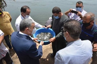 محافظ المنيا يشهد بداية موسم تنمية نهر النيل 2020 وإلقاء مليون زريعة سمك