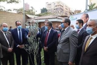 «هنجملها».. وزير القوى العاملة ومحافظ المنوفية يزرعان 1500 شجرة زيتون