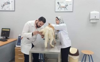 الطب البيطرى بجامعة بدر تنظم مؤتمراً دولياً بالتعاون مع 3 جامعات أوروبية