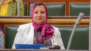 وزيرة الصناعة توجه بالموافقة إلى رئيس مجلس النواب على طلب البرلمانية نسرين عمر